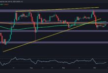 تحليل سعر الريبل: هل يتجه XRP إلى 0.5 أو 0.6 دولار؟ اكتشف التوقعات الآن!