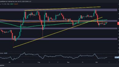 تحليل سعر الريبل: هل يتجه XRP إلى 0.5 أو 0.6 دولار؟ اكتشف التوقعات الآن!