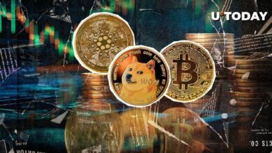 حيتان BTC وDOGE وADA قد تدفع لارتفاع الأسعار، اكتشف الأسباب الآن