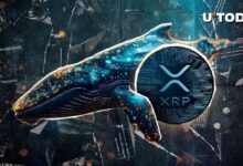 اكتشف الحوت الجديد لمليونيرات XRP: تحويل 104 مليون XRP - التفاصيل هنا