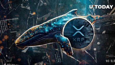 اكتشف الحوت الجديد لمليونيرات XRP: تحويل 104 مليون XRP - التفاصيل هنا