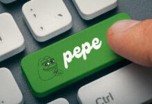 بيبي تشير إلى مكاسب قادمة مع عودة الطلب: ماذا ينتظر سعر PEPE؟ انقر لمعرفة المزيد!