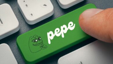 بيبي تشير إلى مكاسب قادمة مع عودة الطلب: ماذا ينتظر سعر PEPE؟ انقر لمعرفة المزيد!