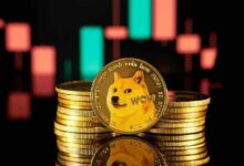 تعرف على سبب ارتفاع دوجكوين (DOGE) الآن!