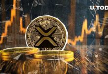 ما الذي يحدث مع XRP؟ اكتشف سبب رفض سعر $0.55