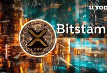 نقل أكثر من 10 مليون دولار من XRP إلى Bitstamp - اكتشف التفاصيل!