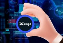 عملية اختراق BingX: استعادة 700 رمز واستئناف العمليات على المنصة - اكتشف التفاصيل الآن!