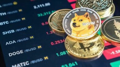 ارتفاع سعر دوجكوين (DOGE) مع صعود عملات الميم - اكتشف المزيد!