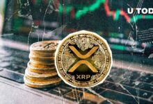 زيادة ضخمة في المحافظ النشطة على شبكة XRP Ledger - اكتشف التفاصيل!