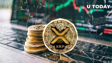 زيادة ضخمة في المحافظ النشطة على شبكة XRP Ledger - اكتشف التفاصيل!