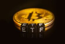 إذا كنتُ أستطيع استثمار 1000 دولار في أي صندوق ETF للبيتكوين، فسيكون هذا هو الأفضل! اكتشف السبب الآن.