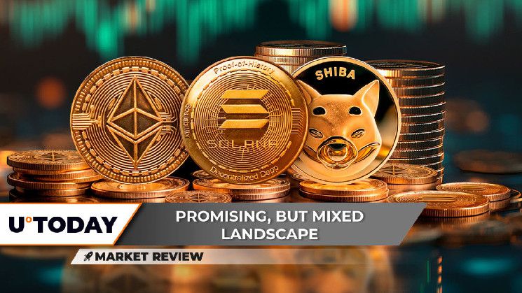 إيثريوم (ETH) يحقق أكبر عودة في الربع الرابع، شيبا إينو (SHIB) تستعد لدخول مرحلة سوق صاعدة جديدة، سولانا (SOL) هل هناك نمط القمة المزدوجة قريبًا؟ اكتشف الآن!