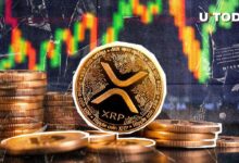 ارتفاع XRP بنسبة 366% لتصل إلى 1.1 مليون دولار في تدفقات الصناديق الأسبوعية - اكتشف التفاصيل!