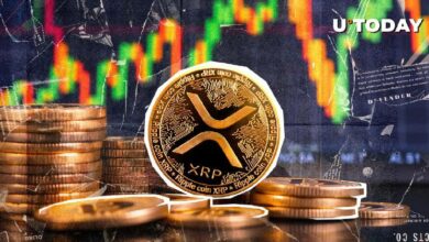 ارتفاع XRP بنسبة 366% لتصل إلى 1.1 مليون دولار في تدفقات الصناديق الأسبوعية - اكتشف التفاصيل!