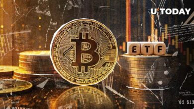 العد التنازلي لاستحواذ ساتوشي: اكتشف متى تصل صناديق بيتكوين المتداولة إلى مليون BTC!