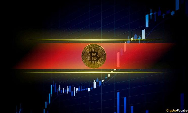 توقعات سعر بيتكوين: إلى أين تتجه BTC هذا الأسبوع بعد اختبار مستوى 64 ألف دولار؟ اكتشف الآن!