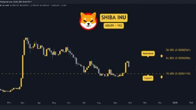 السبب وراء هبوط سعر شيبا إينو (SHIB) اليوم: التحليل الشامل