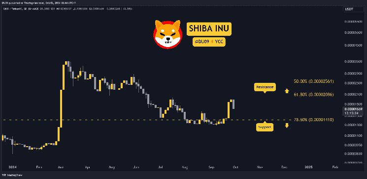 السبب وراء هبوط سعر شيبا إينو (SHIB) اليوم: التحليل الشامل