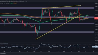 تحليل سعر ريبل: كيفية تجنب هبوط XRP إلى 0.5 دولار. اكتشف الآن!