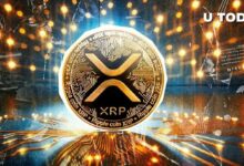 اكتشف كيف كانت XRP ثاني أكبر عملة مشفرة قبل 10 سنوات: التفاصيل كاملة!