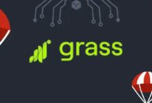 استعد لإطلاق Airdrop GRASS One في 28 أكتوبر 2024