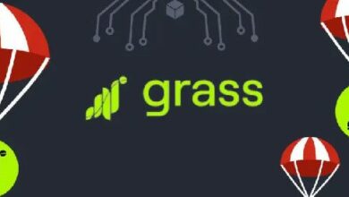 استعد لإطلاق Airdrop GRASS One في 28 أكتوبر 2024