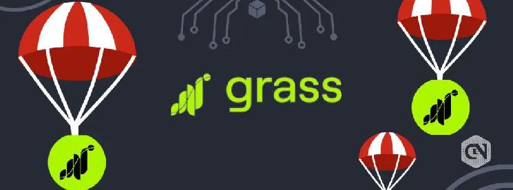 استعد لإطلاق Airdrop GRASS One في 28 أكتوبر 2024