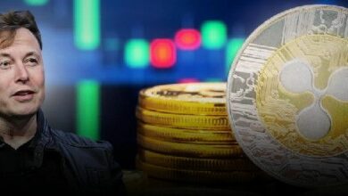 مستخدم على X يزعم: إيلون ماسك اشترى 17 مليون Ripple في 2013؛ اكتشف التفاصيل!