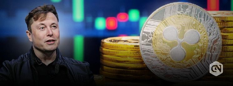 مستخدم على X يزعم: إيلون ماسك اشترى 17 مليون Ripple في 2013؛ اكتشف التفاصيل!