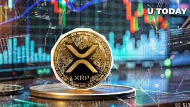 تحرك حاد محتمل لـXRP في الأسبوع المقبل، اكتشف المزيد