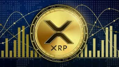 انخفاض سعر XRP إلى 0.51 دولار وسط تقلبات قضية ريبل وهيئة الأوراق المالية - اكتشف التفاصيل الآن!