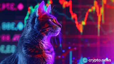 قفزة بنسبة 691% لعملة CATS قبل إدراجها في البورصات الكبرى: اكتشف الأسباب الآن!