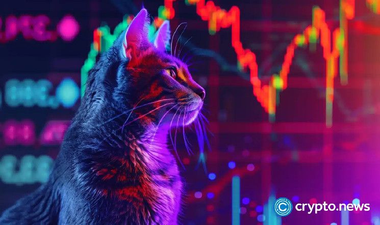 قفزة بنسبة 691% لعملة CATS قبل إدراجها في البورصات الكبرى: اكتشف الأسباب الآن!