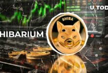 ارتفاع أسعار الغاز في منصة Shiba Inu's Shibarium بنسبة 2,777%: اكتشف التفاصيل!