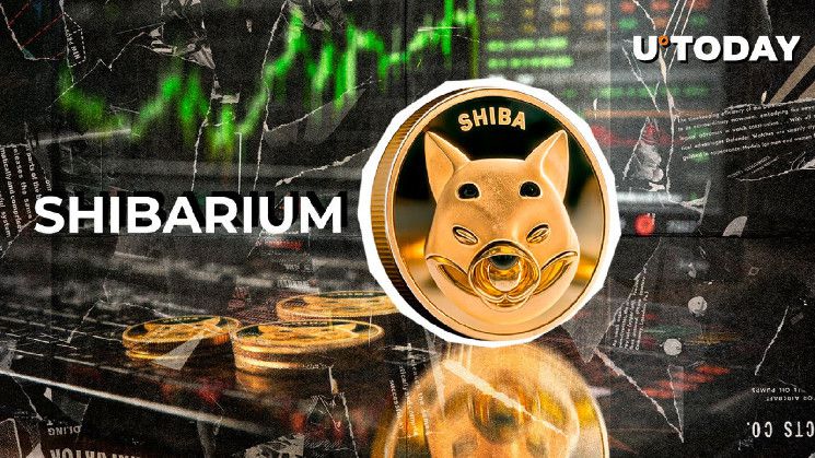 ارتفاع أسعار الغاز في منصة Shiba Inu's Shibarium بنسبة 2,777%: اكتشف التفاصيل!