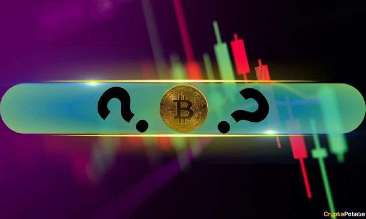 قفزات أسعار مزدوجة الرقم لهذه العملات البديلة بينما يتطلع البيتكوين (BTC) للوصول إلى 80 ألف دولار (مراقبة عطلة نهاية الأسبوع)