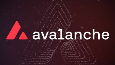 اقتراب انفجار في أسعار Avalanche – محلل بارز يحدد هدف 420 دولاراً لـ AVAX في هذه الدورة, اكتشف الآن!