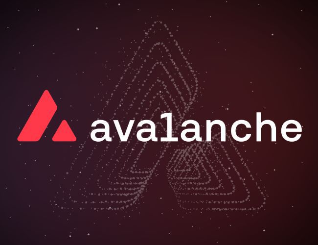 اقتراب انفجار في أسعار Avalanche – محلل بارز يحدد هدف 420 دولاراً لـ AVAX في هذه الدورة, اكتشف الآن!