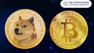 راول بال: لماذا دوجكوين أصعب من البيتكوين؟ توقعات بتفوق DOGE على BTC!