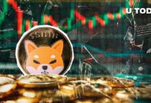 إشارة صعودية لـ Shiba Inu (SHIB): اكتشفها الآن حيث يظهر السعر 0% تقلبات