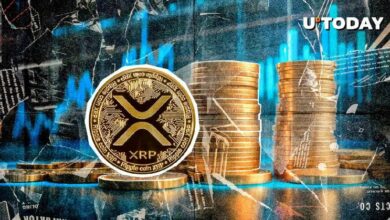 إرسال 43 مليون XRP في 24 ساعة: اكتشف التفاصيل الآن!