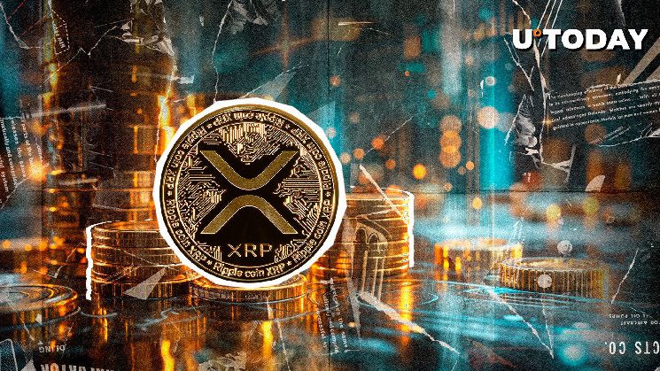 XRP يتفاجأ بنشاط حوت غامض بـ25 مليون دولار على منصة بينانس - اكتشف التفاصيل!