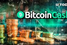 بيتكوين كاش (BCH): تفعيل الترقية الكبرى - اكتشف التفاصيل الآن!