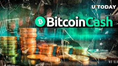 بيتكوين كاش (BCH): تفعيل الترقية الكبرى - اكتشف التفاصيل الآن!