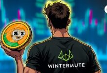 الدور الخفي لـ Wintermute في حركة سعر SLERF - اكتشف التفاصيل الآن!