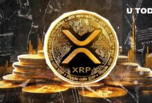 XRP يحقق التقاطع الذهبي مع بيتكوين، اكتشف التفاصيل الآن!