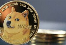 تحليل سعر دوجكوين: اكتشف لماذا يمكن لـ DOGE الارتفاع بنسبة 60% الآن!