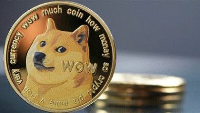 تحليل سعر دوجكوين: اكتشف لماذا يمكن لـ DOGE الارتفاع بنسبة 60% الآن!