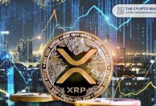 محلل مالي: جيش XRP يزداد صخباً - اكتشف التفاصيل الآن!