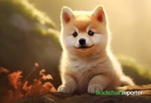 "إطلاق BabyDoge على نيكسو فيوتشرز برافعة تصل إلى 15 مرة - اكتشف المزيد الآن!"